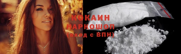 твердый Няндома