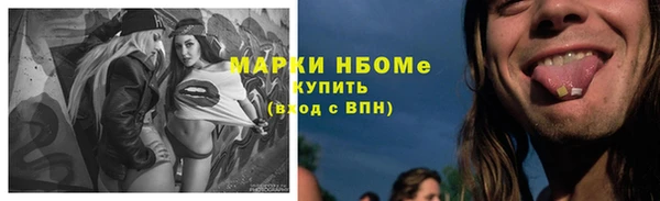 твердый Няндома