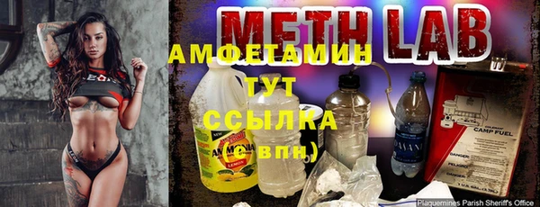 твердый Няндома
