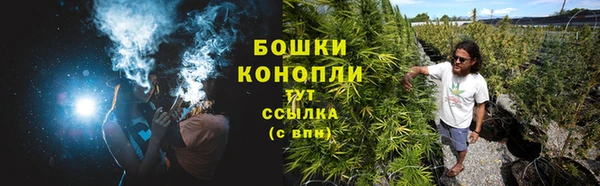 амфетамин Новодвинск