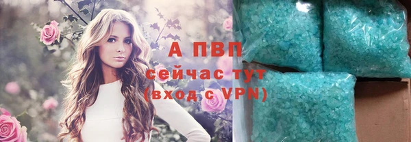 мяу мяу мука Новозыбков