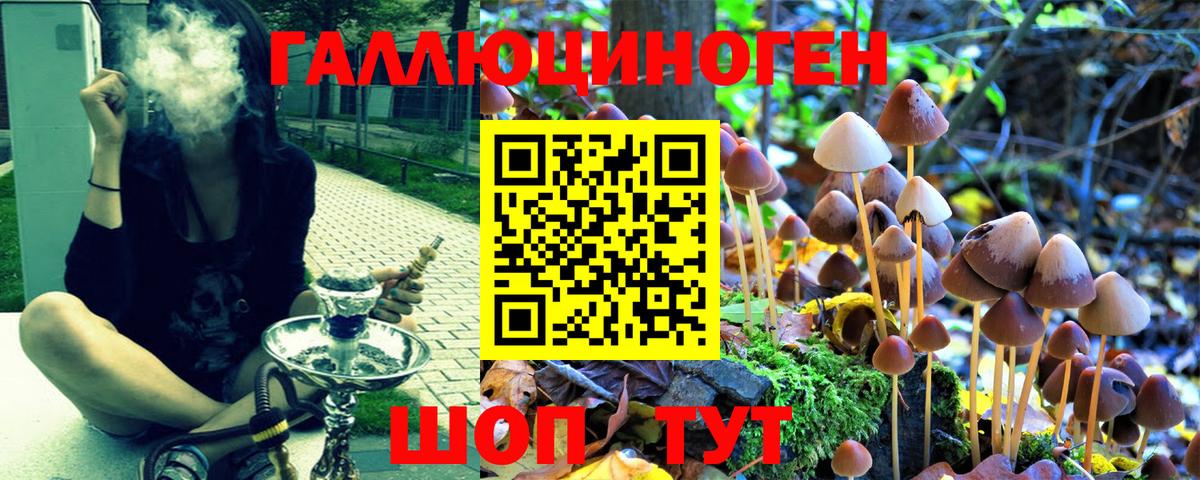 Галлюциногенные грибы Cubensis  Вход с VPN  Фролово 