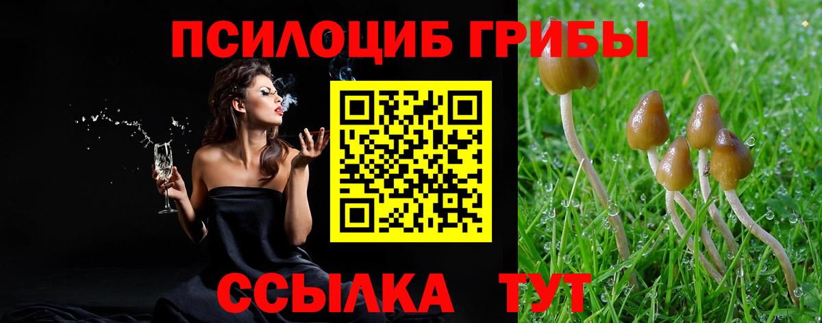 Галлюциногенные грибы Magic Shrooms Фролово